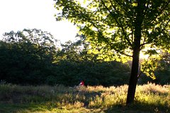 photo 0091